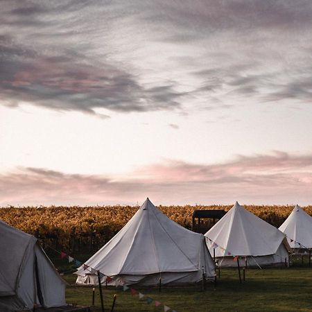 Coonawarra Bush Holiday Park Hotel Exterior photo