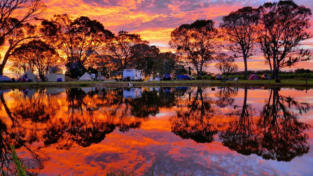 Coonawarra Bush Holiday Park Hotel Exterior photo